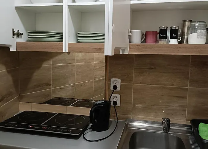 Pokoje Krakow Plus * 克拉科夫